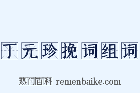 丁元珍挽词组词是什么意思的图片